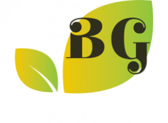 Birmingham Group Health Service