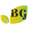 bghealth.org-logo